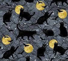 Black Cats Gray Multi