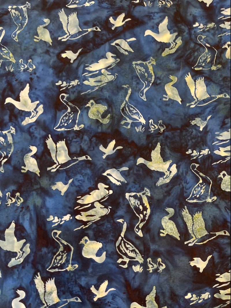 Geese on Navy