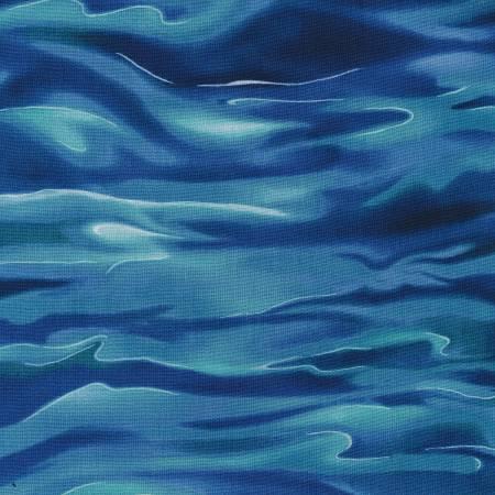 North American Wildlife 4 OCEAN Waves