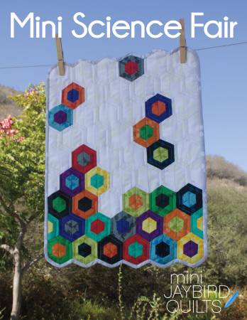 Mini Science Fair with Mini Hex Ruler