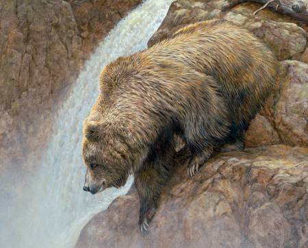 Bear at the Waterfall Digital Panel 36in