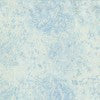 Fairy Frost - Cloud