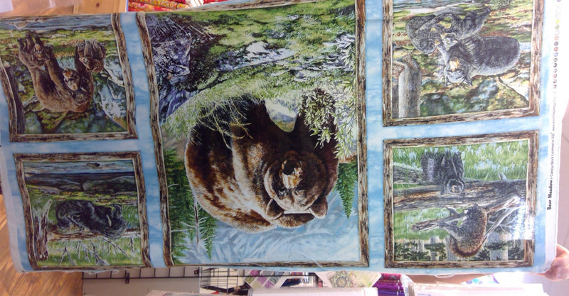Bear Meadow Panel