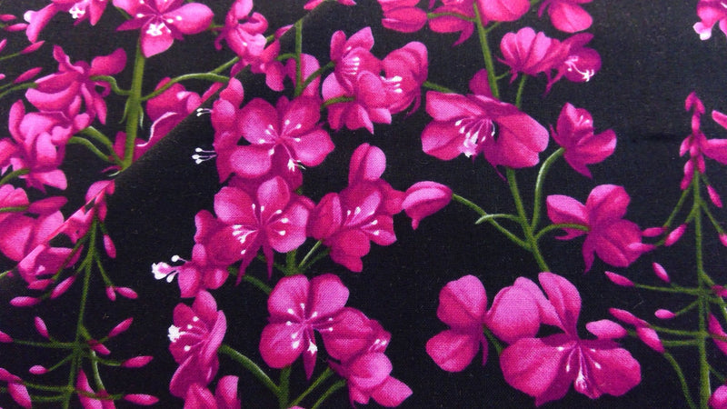 Fireweed Stems - Black